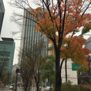 image-14