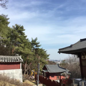 image-9