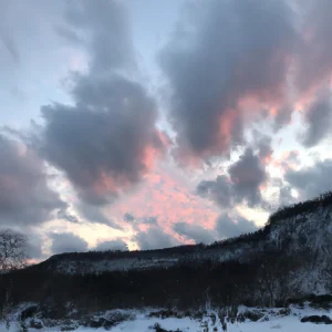 image-2